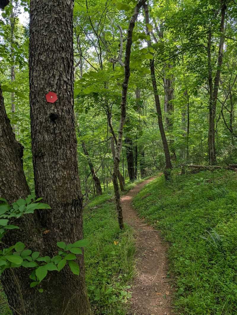 Riverbluffs Trail