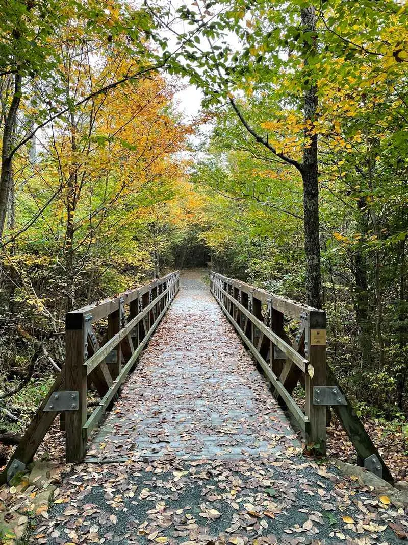 Skyline Drive and Limberlost Trail, Shenandoah National Park, Luray, Page County