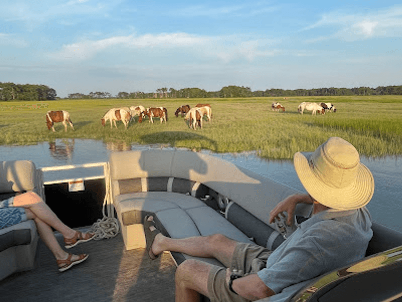 Wild Ponies Along The Edge