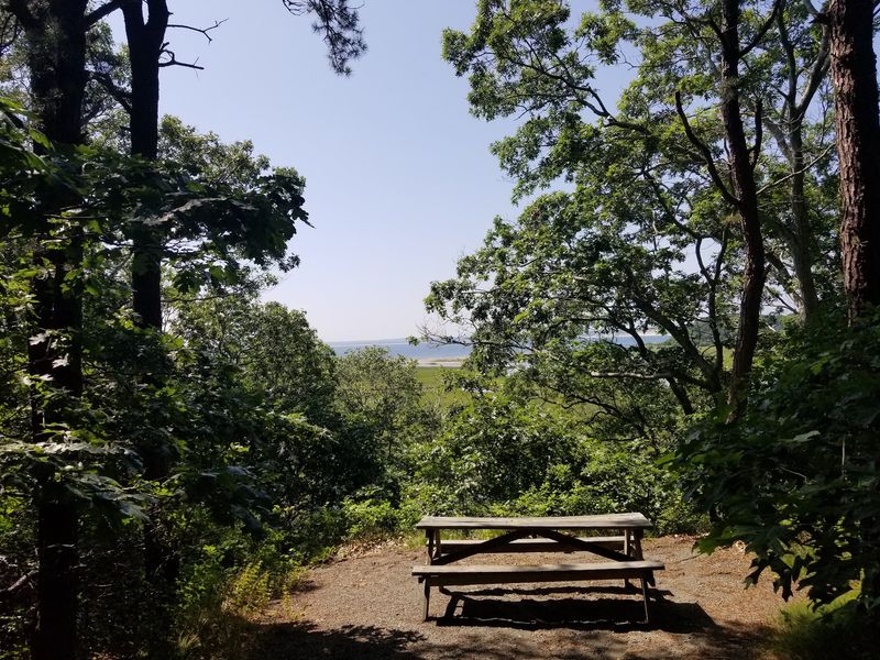 Ellisville Harbor State Park, Plymouth