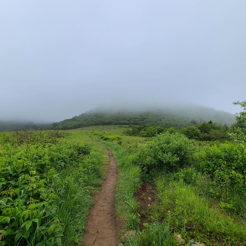 Gateway From The Famous Blue Ridge Parkway