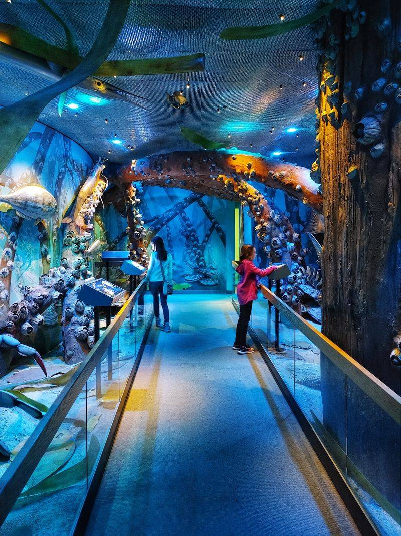 Florida Museum of Natural History - Gainesville, Alachua County