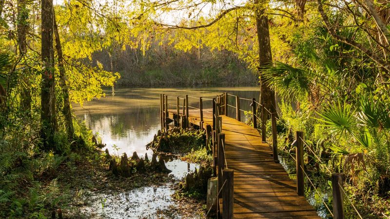 Fakahatchee Strand Preserve State Park - Copeland