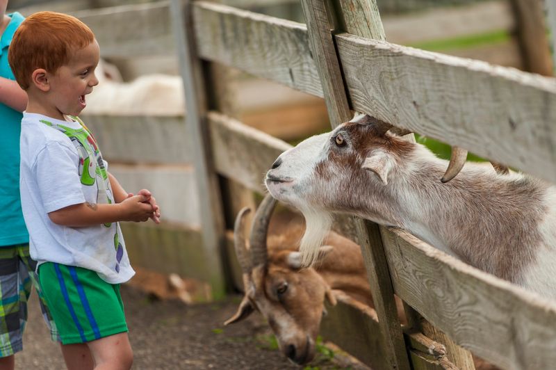 Maymont Farm - Richmond