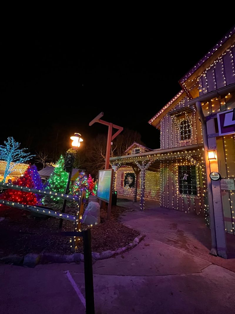 Seasonal Lights and Evening Magic