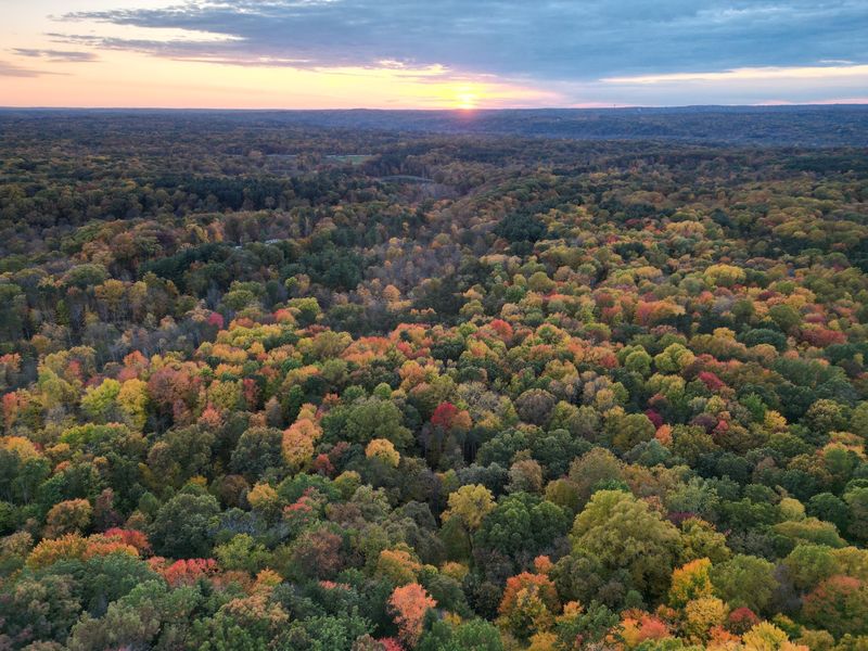 Fall Colors That Feel Almost Too Bright