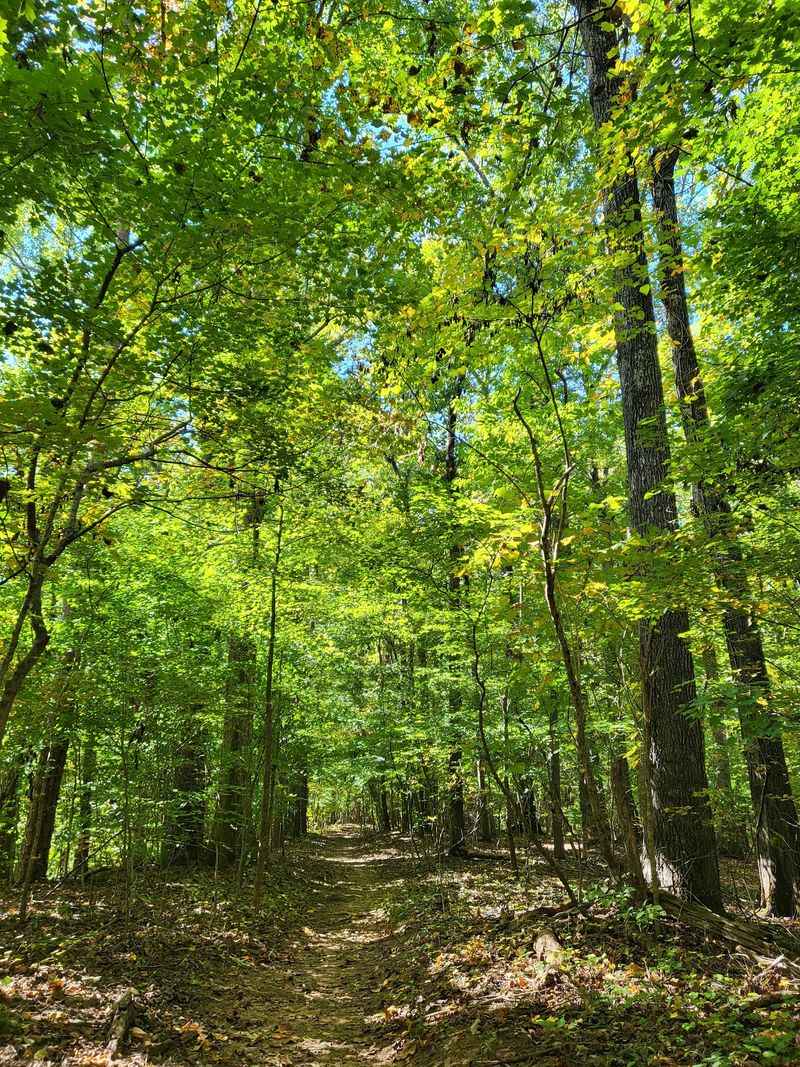 Trails That Let Every Visitor Choose Their Own Pace