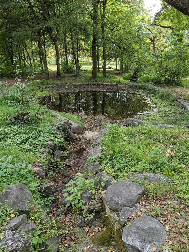 Ponds, Meadows, And City Breathing Room At Awbury Arboretum