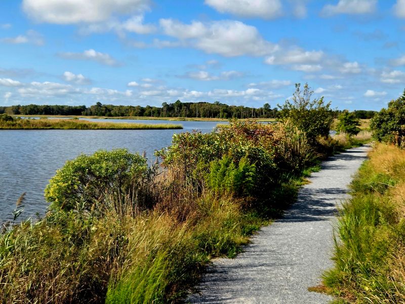Prime Hook National Wildlife Refuge, Milton, Sussex County
