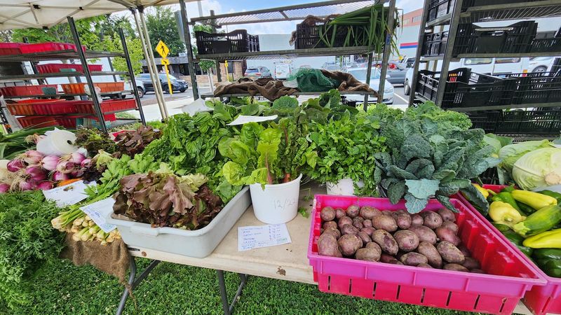 Danbury Farmers Market - Danbury