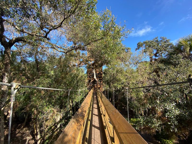 A Walkway Suspended In The Trees
