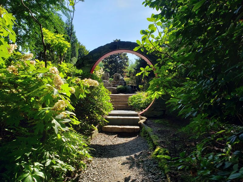 UNC Charlotte Botanical Gardens - Charlotte