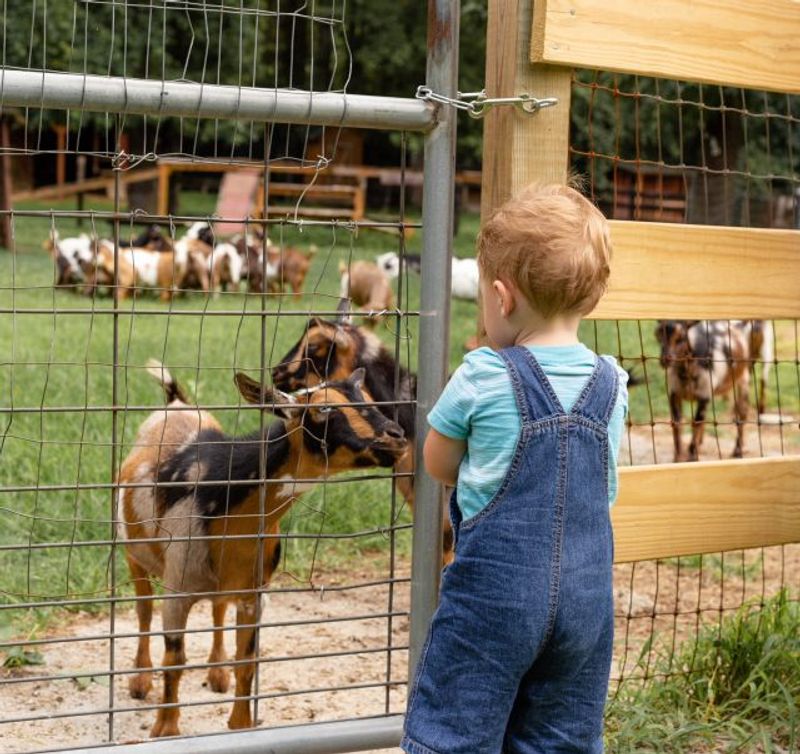 Double Durango Farm