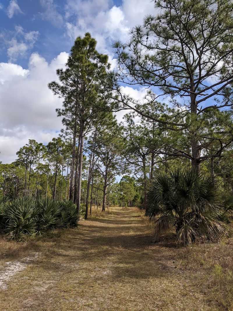 St. Sebastian River Preserve State Park - Fellsmere