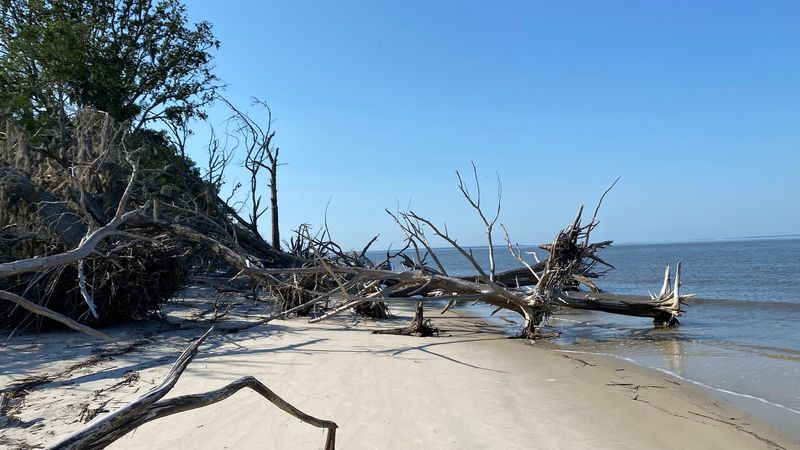 St. Andrews Beach