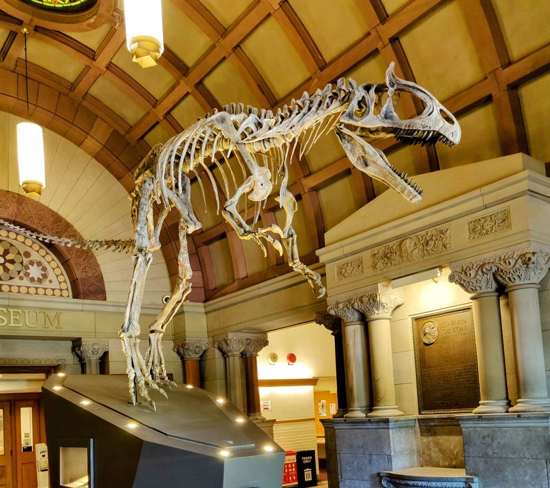 Orton Geological Museum