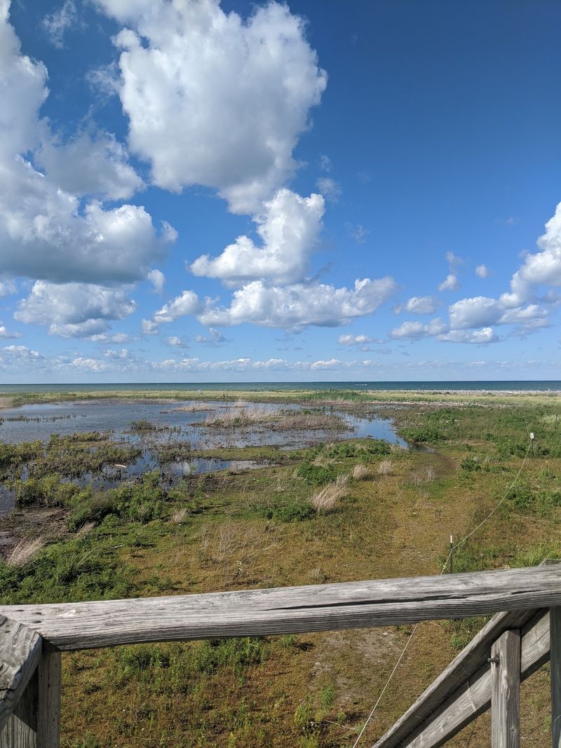 Gull Point Observation Deck
