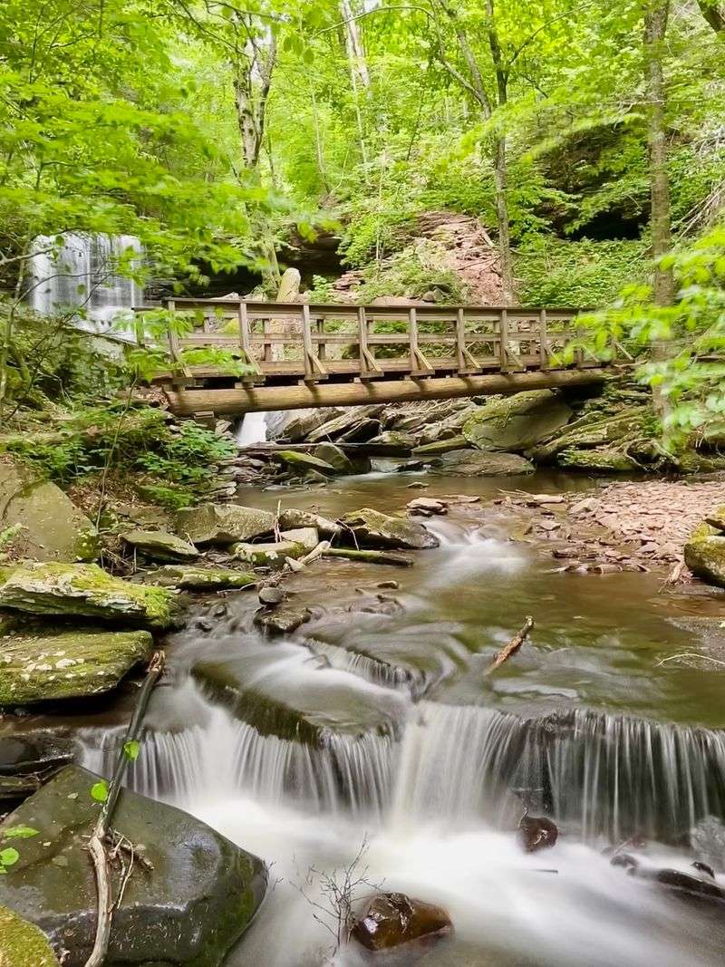 Ricketts Glen State Park