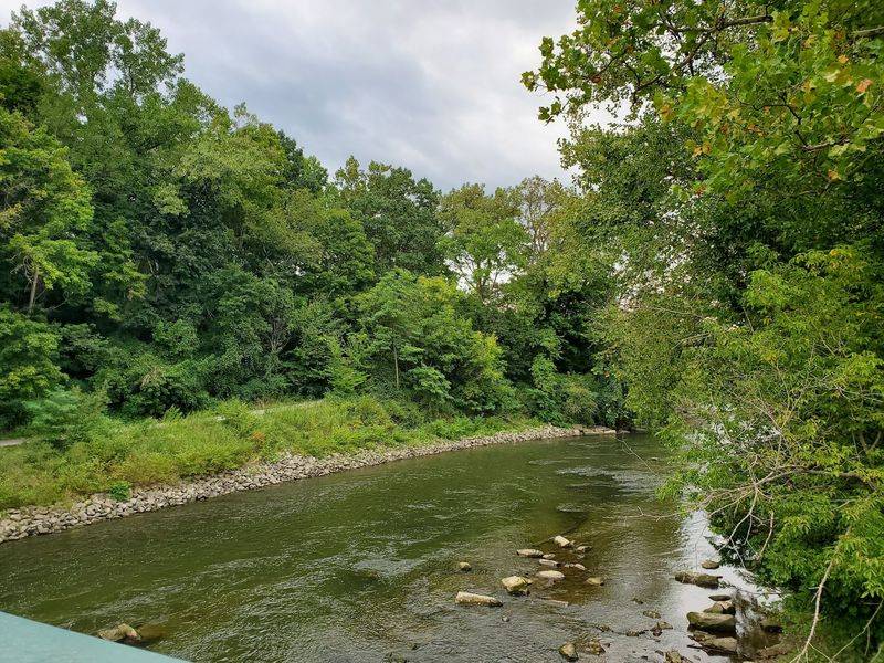 River Views That Roll Beside Your Window