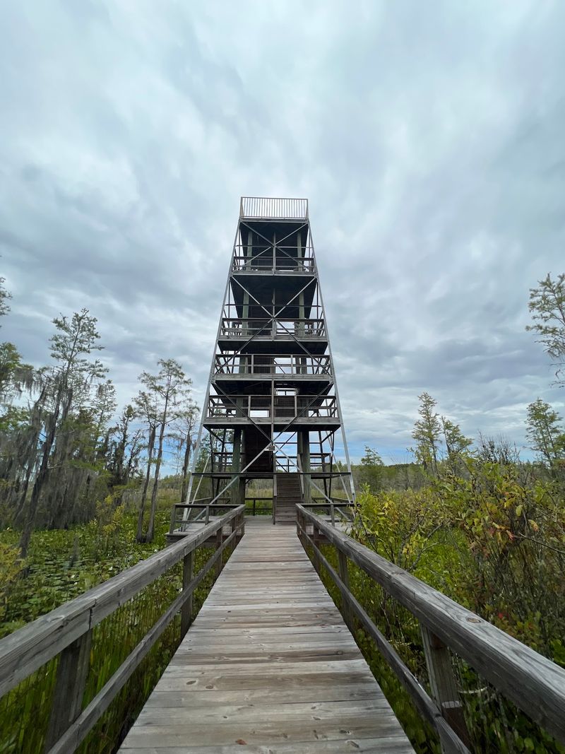 Grand Bay WMA Lookout Tower - Valdosta
