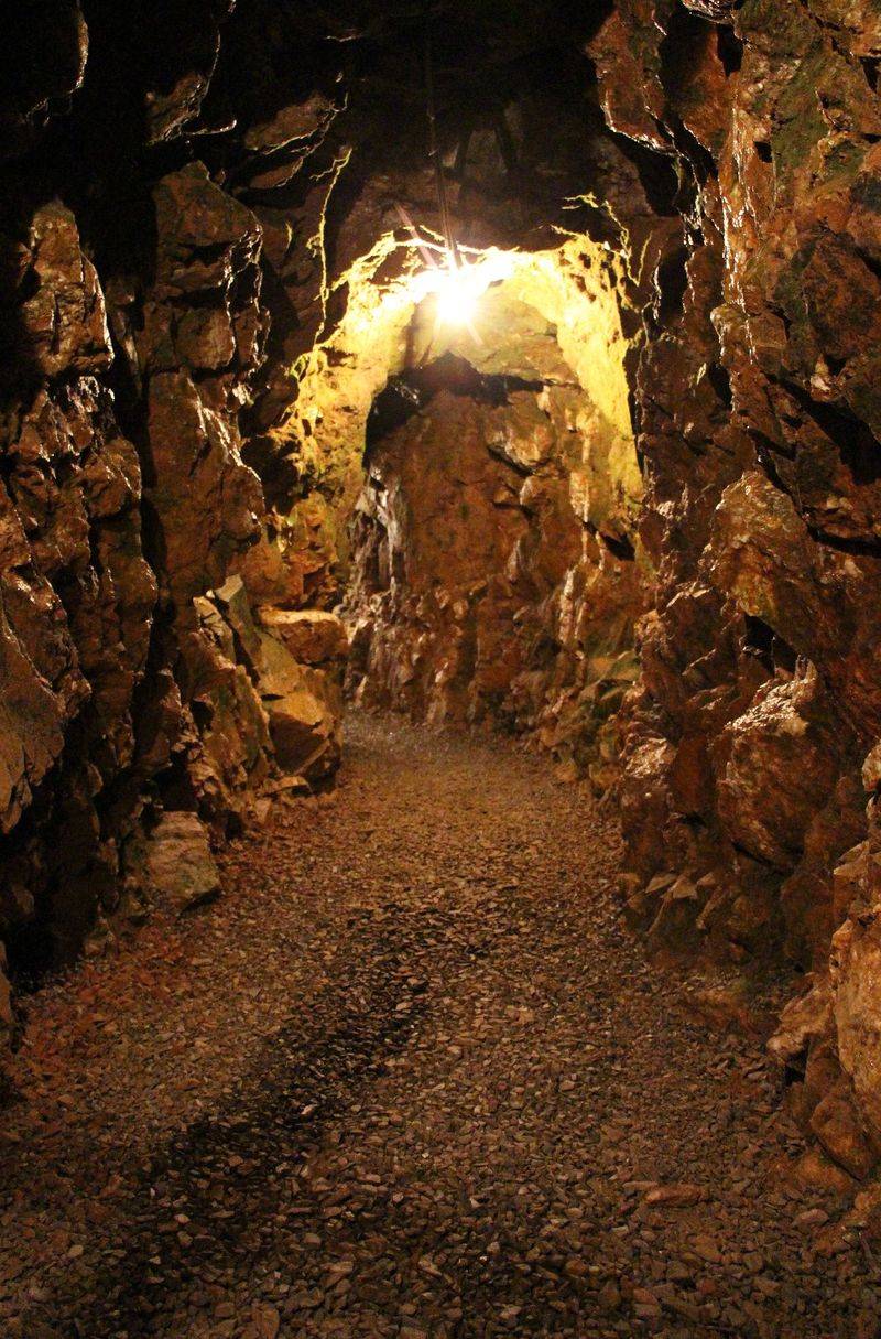 A Different Kind of Treasure at Reed Gold Mine