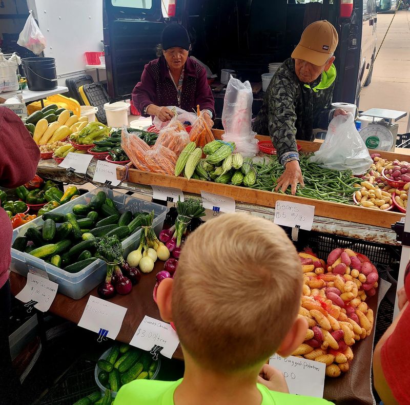 River Breezes and Music at Eau Claire Downtown Farmers Market - Eau Claire