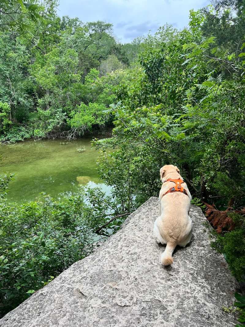 Limestone Paths at Barton Creek Greenbelt, Austin, Travis County