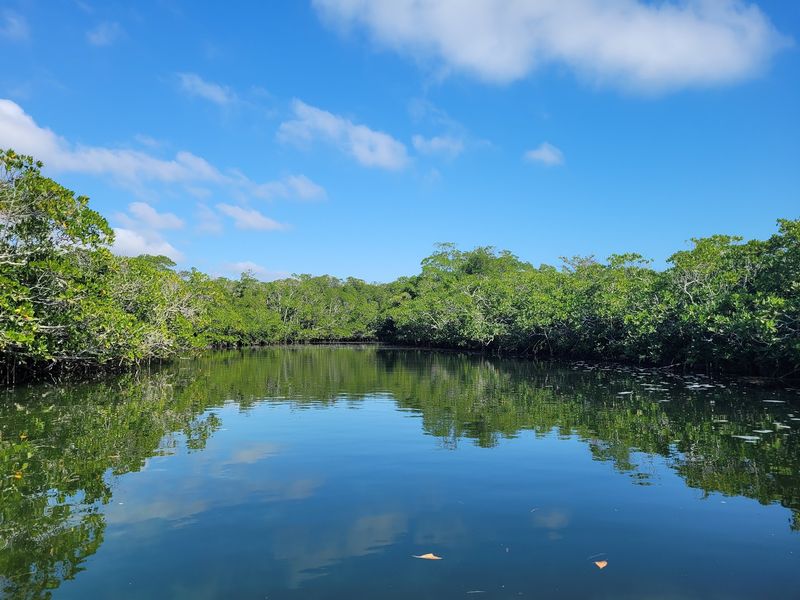 John Pennekamp Coral Reef State Park - Key Largo