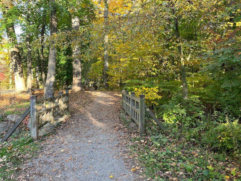 Woodland Trails for Easy Wandering