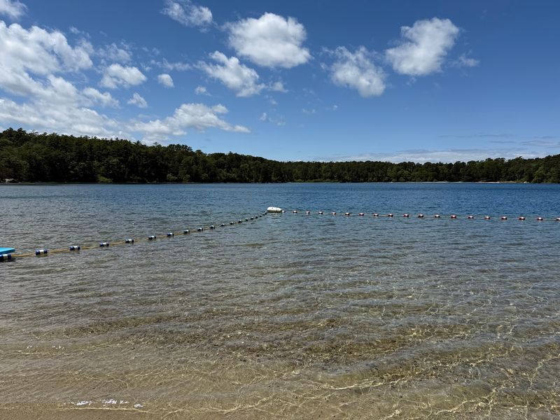 Flax Pond