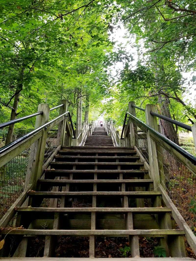 Mount Baldhead: 282 Steps to Heaven