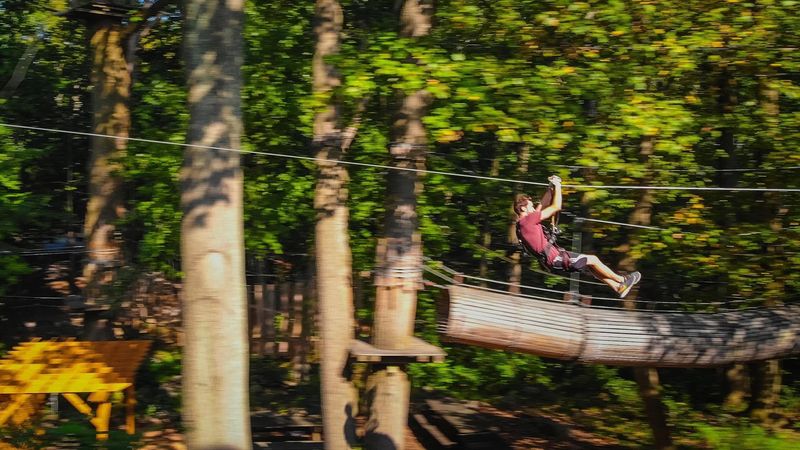 Zip Lines Through The Forest Canopy