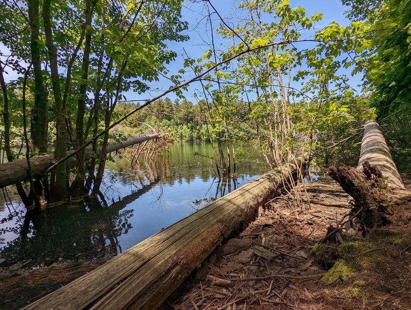 A Trail System That Keeps the Day Interesting