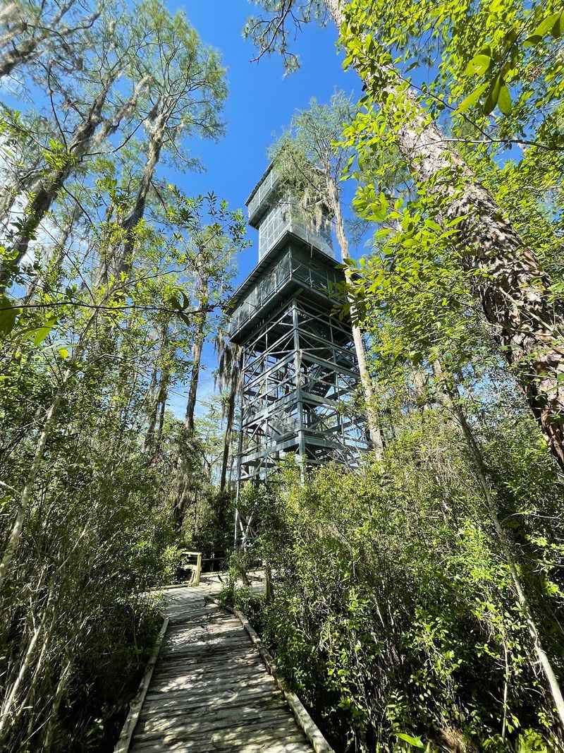 Okefenokee Swamp Park 90-Foot Observation Tower - Waycross