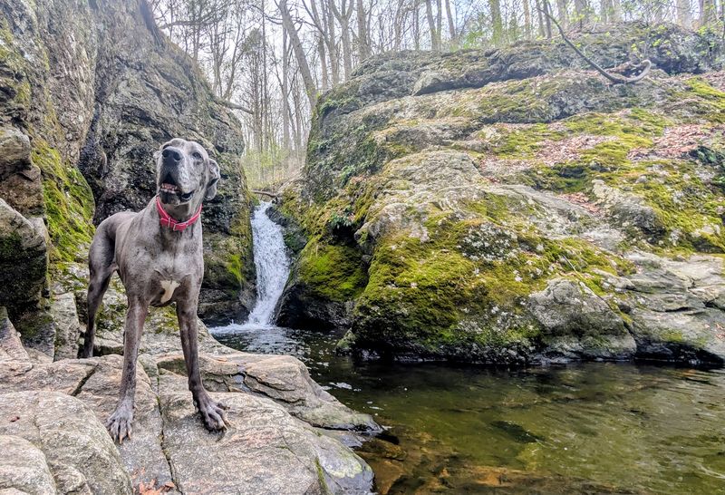 Follow The Short Path Toward The Waterfall