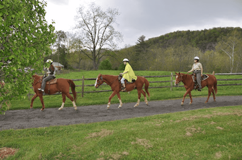 Hoofbeats on the Historic Trail