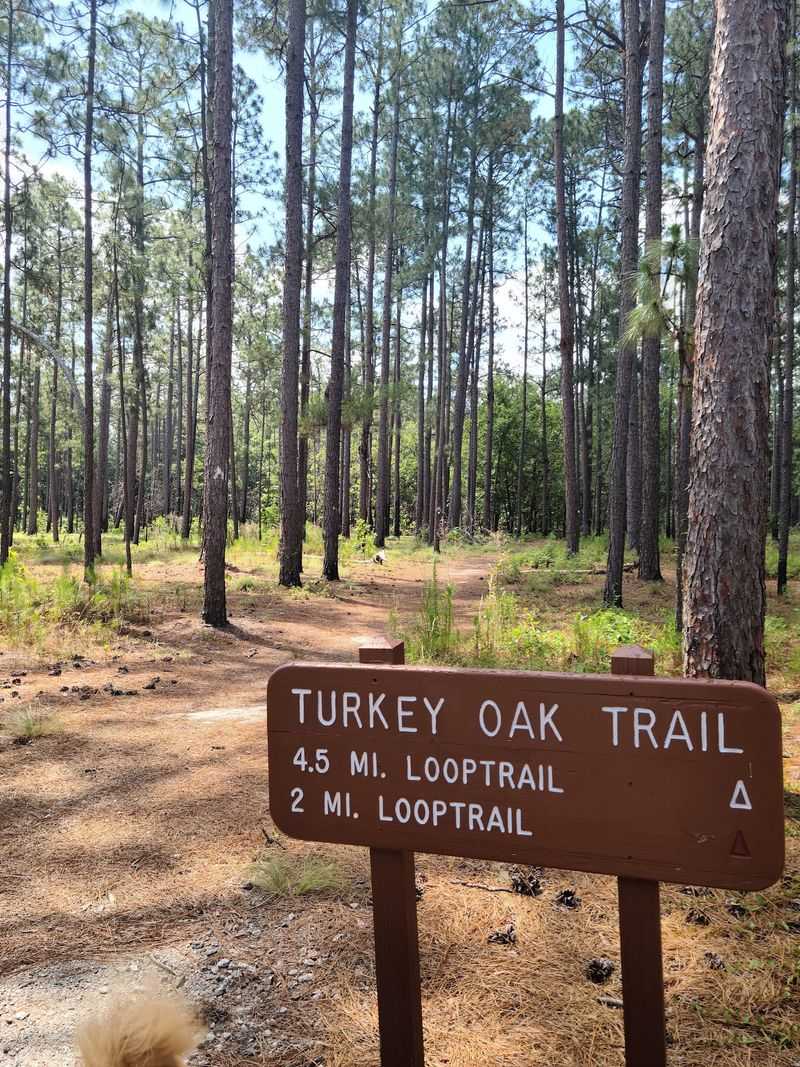 Easy Trails Make the Quiet Last Longer