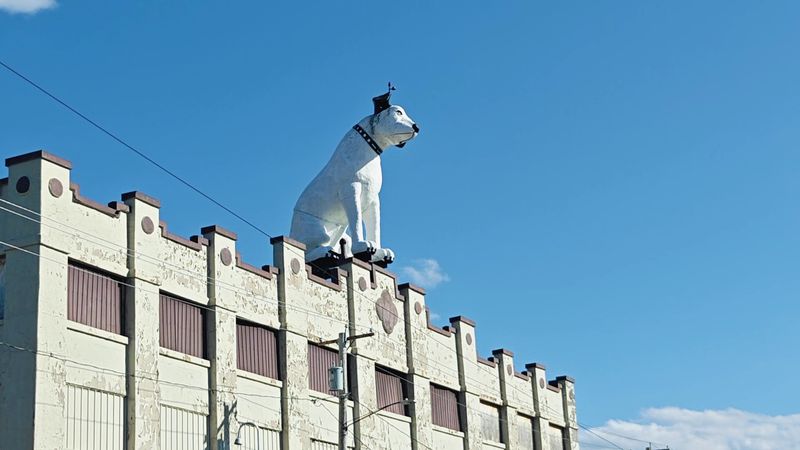 Nipper the Dog Statue - Albany