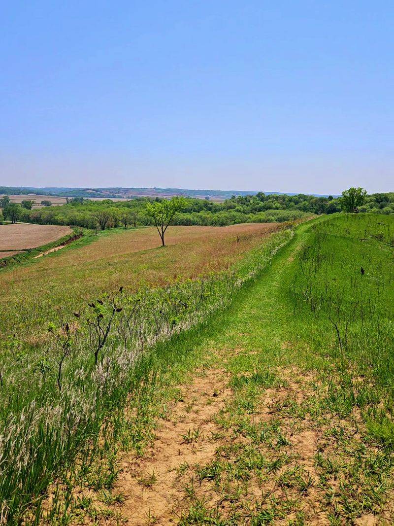 Preparation Canyon State Park Trails