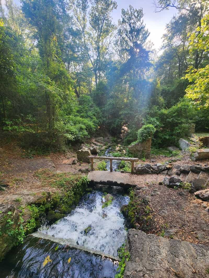 Poinsett State Park Nature Trail, Wedgefield, Sumter County