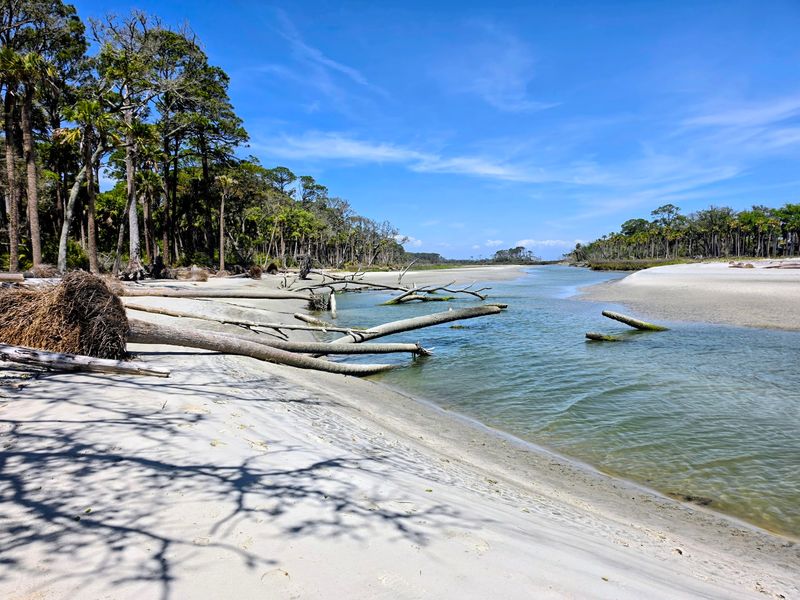 Hunting Island State Park, St. Helena Island, Beaufort County