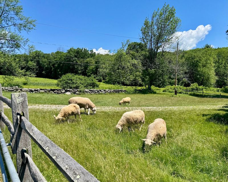 Wachusett Meadow Wildlife Sanctuary, Princeton, Worcester County