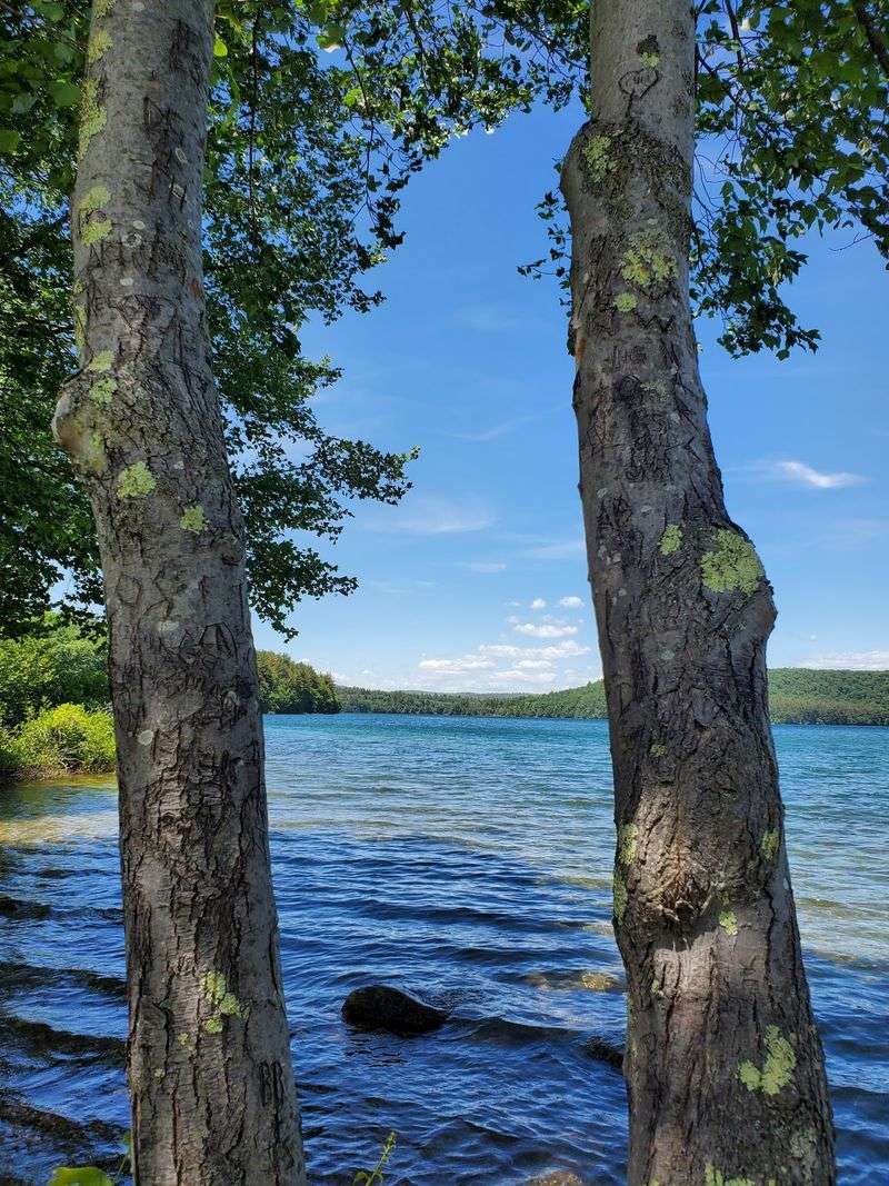 Quabbin Reservoir, Belchertown, Hampshire County