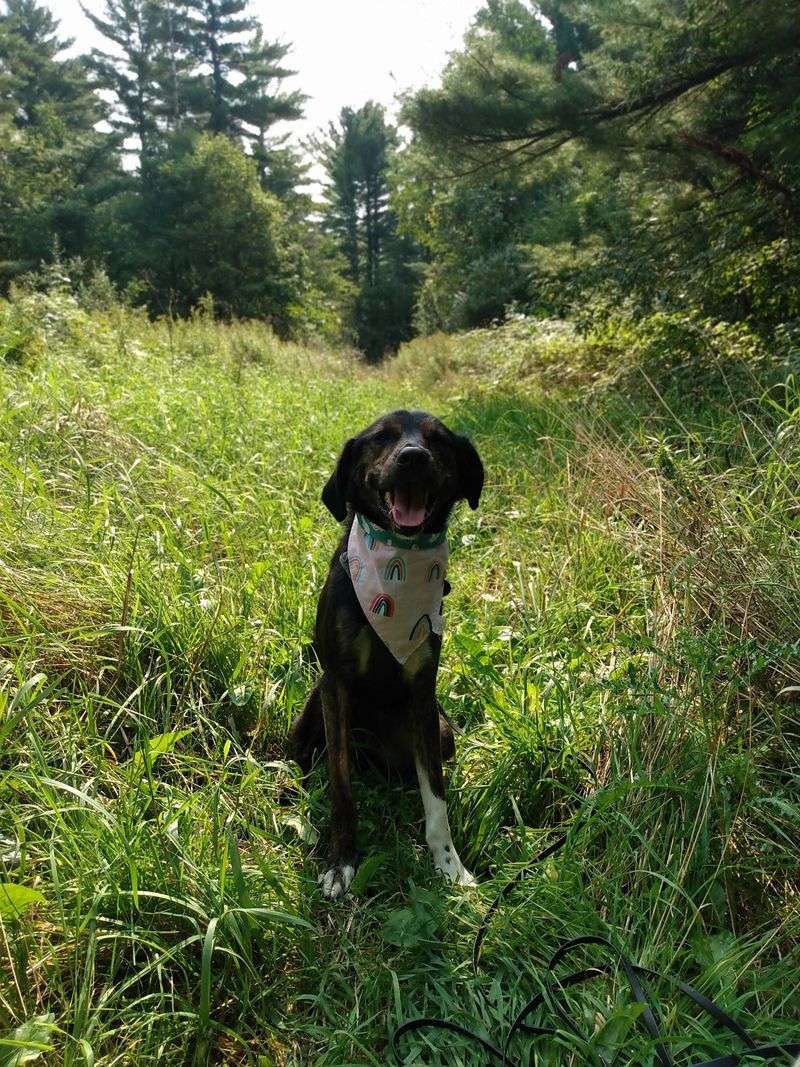 Butler Lake Trail Area