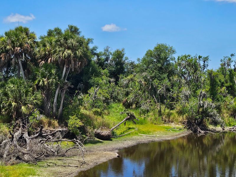 Myakka River State Park - Sarasota