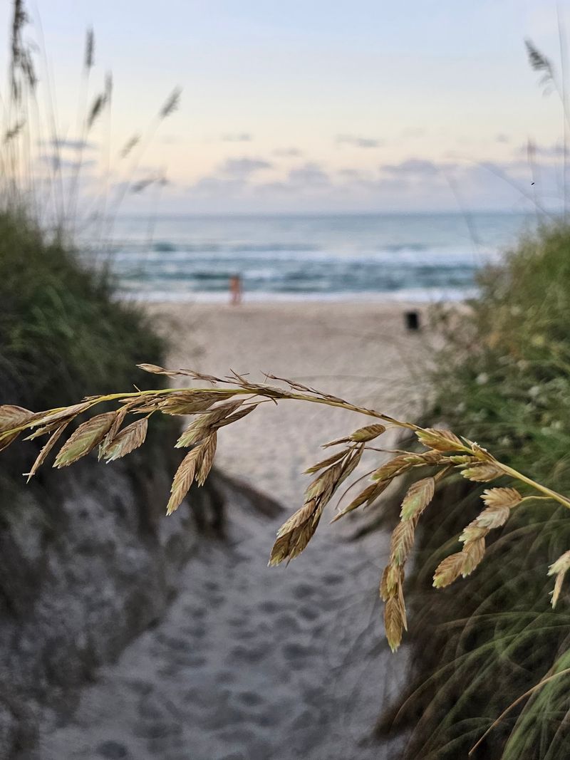 Frisco Beach - Hatteras Island