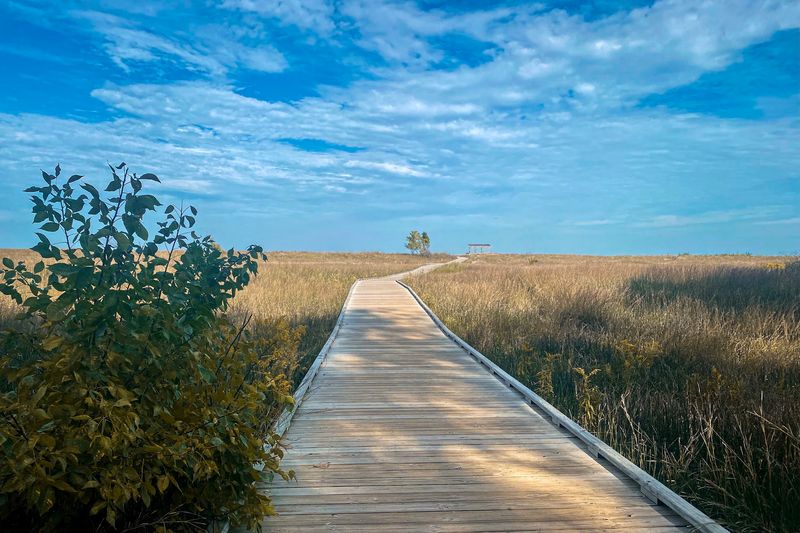 The Boardwalk Builds the Anticipation