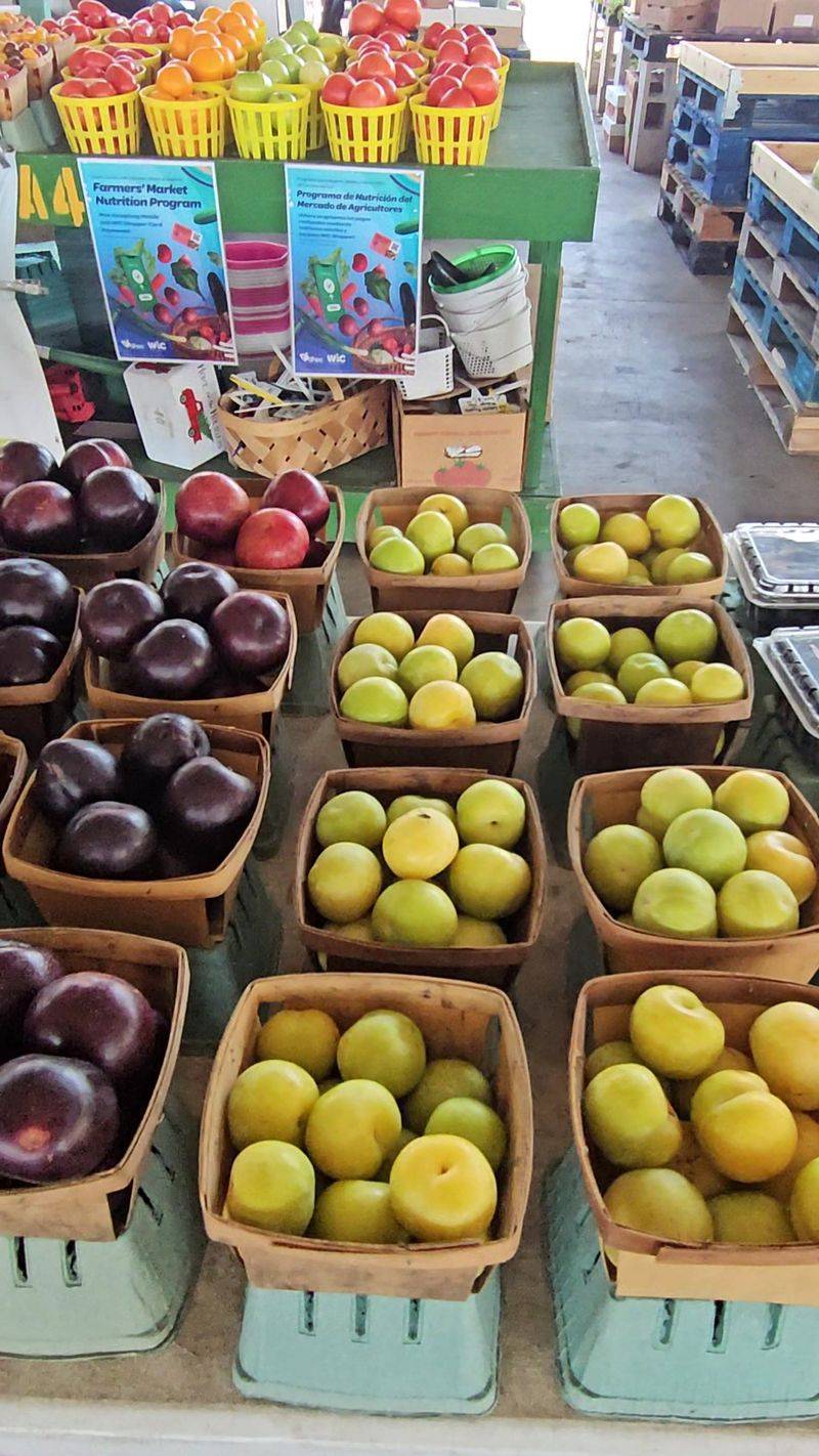 South Carolina State Farmers Market - West Columbia