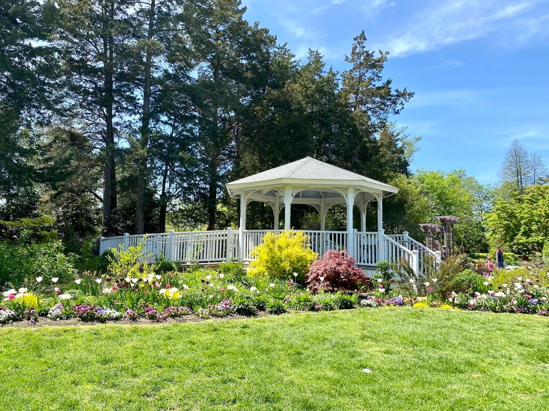 Green Spring Gardens - Alexandria