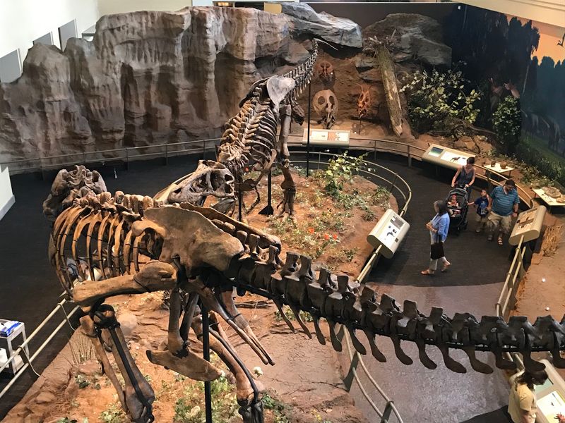 Carnegie Museums of Pittsburgh, Pittsburgh, Allegheny County